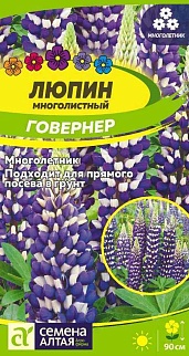 Люпин многолетний Говернер, 0,3 г