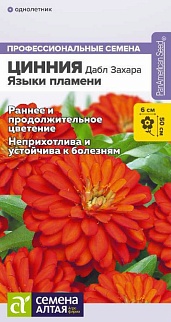 Цинния Дабл Захара Языки пламени, 5 шт. Профессиональные семена.
