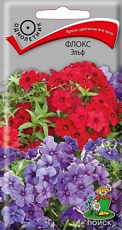 Флокс друммонда Эльф, 0,1 г