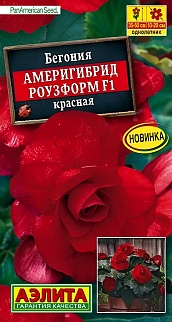 Бегония Америгибрид Роузформ F1 красная, 5 шт. 