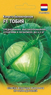 Капуста белокочанная Тобия F1, 10 шт. Голландия.