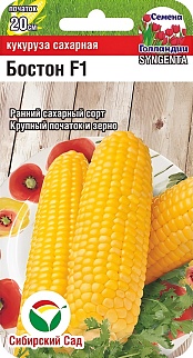 Кукуруза Бостон F1, 0,5 г. Семена Голландии. Сибирский сад.