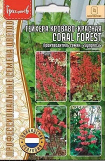 Гейхера Coral forest кроваво-красная Syngenta, 7 шт.
