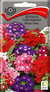 Вербена гибридная Мамут микс, 0,2 г.
