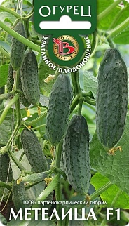 Огурец Метелица F1, 8 шт. Биотехника