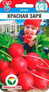 Редис Красная Заря, 2 г. Сибирский сад