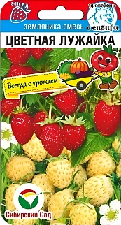 Земляника Цветная лужайка, смесь, 10 шт. Всегда с урожаем