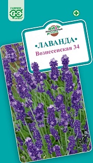 Лаванда Вознесенская 34, 0,05 г. Лекарственная.