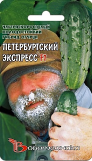 Огурец Петербургский экспресс F1, 8 шт. Биотехника