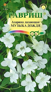 Азарина Музыка дождя, 5 шт. 