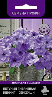 Петуния гибридная Ивнинг Сенсейшн, 5 шт. Семена профи