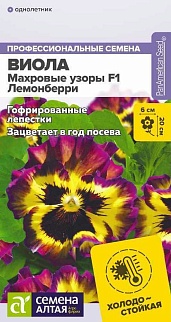 Виола Махровые узоры Лемонберри F1, 5 шт. 