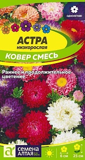 Астра низкорослая Ковер смесь, 0,2 г