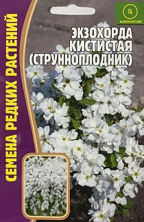 Экзохорда кистистая  (струнноплодник), 7 шт.