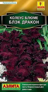 Колеус блюме Блэк дракон, 5 шт. 