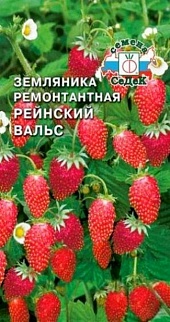Земляника ремонтантная Рейнский вальс, 0,04 г