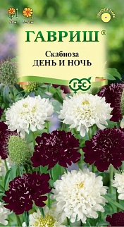 Скабиоза пурпурная День и ночь, смесь 0,2 г 