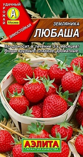 Земляника ремонтантная крупноплодная Любаша, 10 шт.