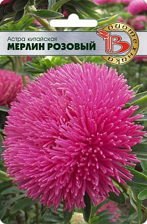 Астра Мерлин Розовый, 50 шт. Биотехника