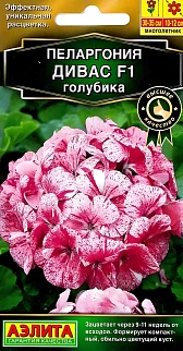 Пеларгония Дивас голубика, 3 шт.
