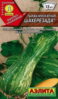 Тыква мускатная Шахерезада, 1 г