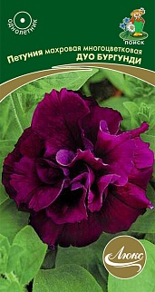 Петуния махровая многоцветковая Дуо бургунди, 10 шт. Люкс