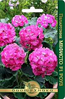 Пеларгония Мефисто F1 Роуз, 5 шт. Биотехника