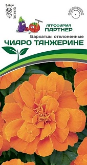 Бархатцы отклоненные Чиаро Танжерине, 10 шт.