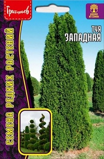 Туя западная, 0,1 г