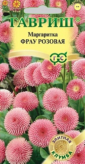 Маргаритка Фрау Розовая, 5 шт. Элитная клумба.