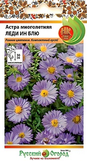 Астра многолетняя Леди Ин Блу, 0,07 г Русский огород