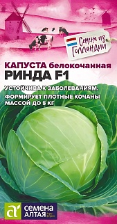 Капуста белокочанная Ринда F1, 12 шт. Голландские Семена.