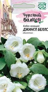 Кобея лазящая Джингл беллс, 5 шт. Чудесный балкон 