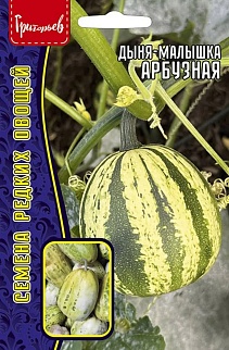 Дыня-малышка Арбузная, 5 шт. 