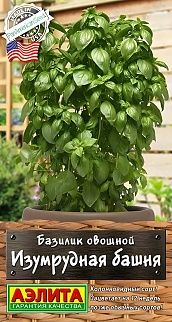 Базилик овощной Изумрудная башня, 10 шт.