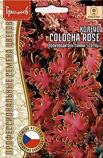 Колеус Колоча Rose (Роза), 5 шт.