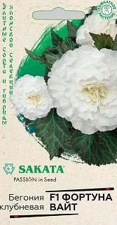 Бегония клубневая Фортуна вайт F1, 4шт. Саката.