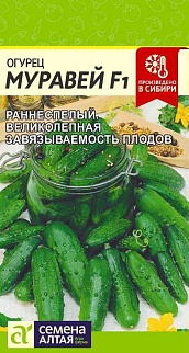 Огурец Муравей F1, 5 шт. 