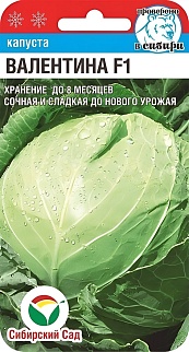 Капуста белокочанная  Валентина F1, 25 шт. Сибирский сад.