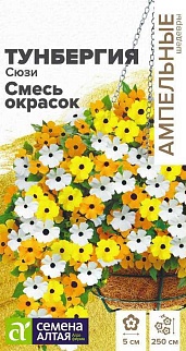 Тунбергия Сюзи Смесь окрасок крылатая, 4 шт. Ампельные Шедевры