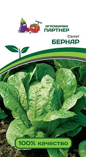 Салат кочанный Бернар, 0,5 г. Агрофирма Партнер.