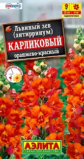Львиный зев Карликовый, оранжево-красный, 10 шт.