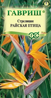 Стрелиция Райская Птица, 3 шт.