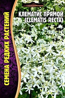 Клематис Прямой (Сlematis recta), 5 шт 