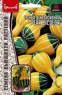 Тыква декоративная Pear Bicolor (Груша Биколор), 3 шт. 