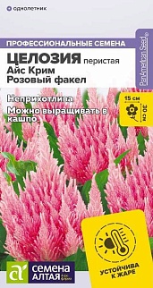 Целозия Айс Крим Розовый факел перистая, 10 шт. 