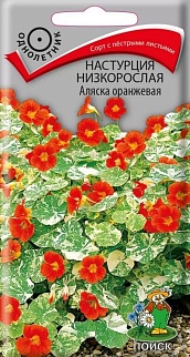 Настурция низкорослая Аляска оранжевая, 1 г