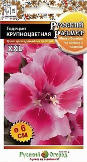 Годеция крупноцветковая, 100 шт. Русский Размер. Русский огород
