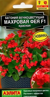 Бегония вечноцветущая махровая Фея F1 красная, 5 шт.