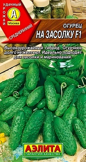 Огурец На засолку F1, 10 шт.